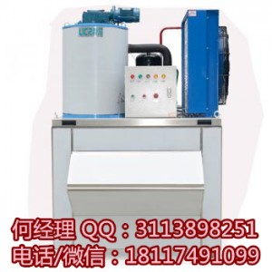 上海1000公斤片冰機(jī)