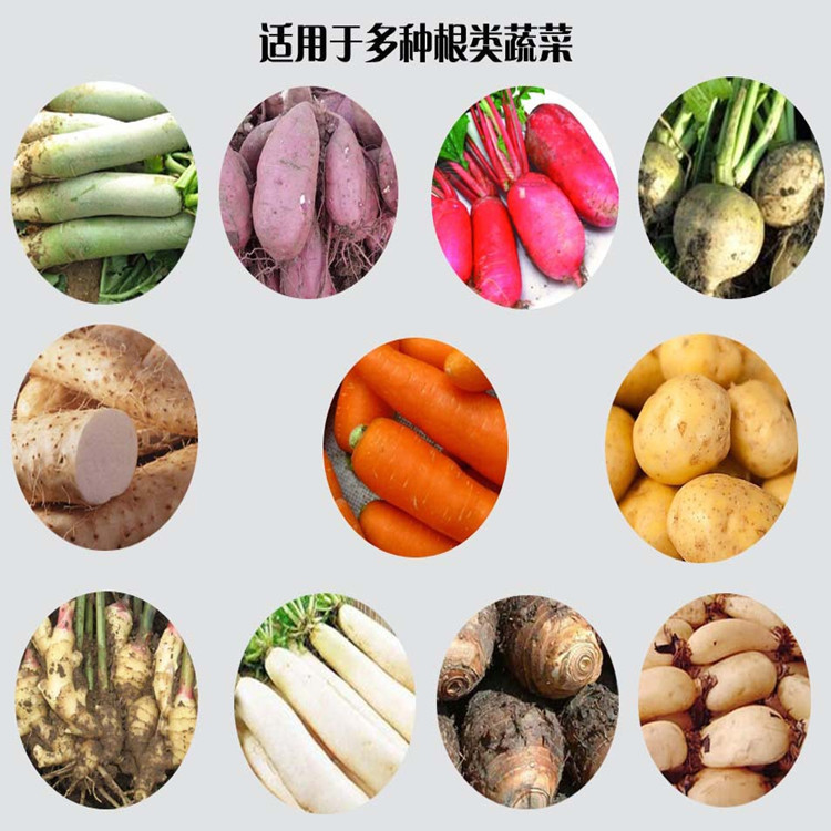 供應(yīng)紅薯清洗機(jī) 全自動連續(xù)式清洗風(fēng)干流水線 洗菜機(jī)商用