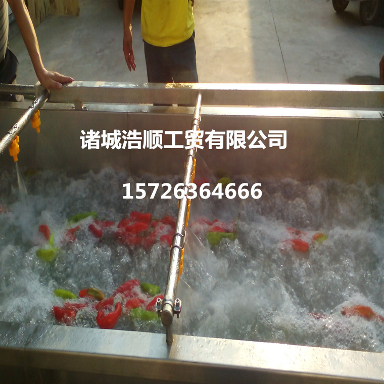 商用蔬菜清洗機 鼓泡式洗菜機 蘑菇高壓噴淋清洗流水線
