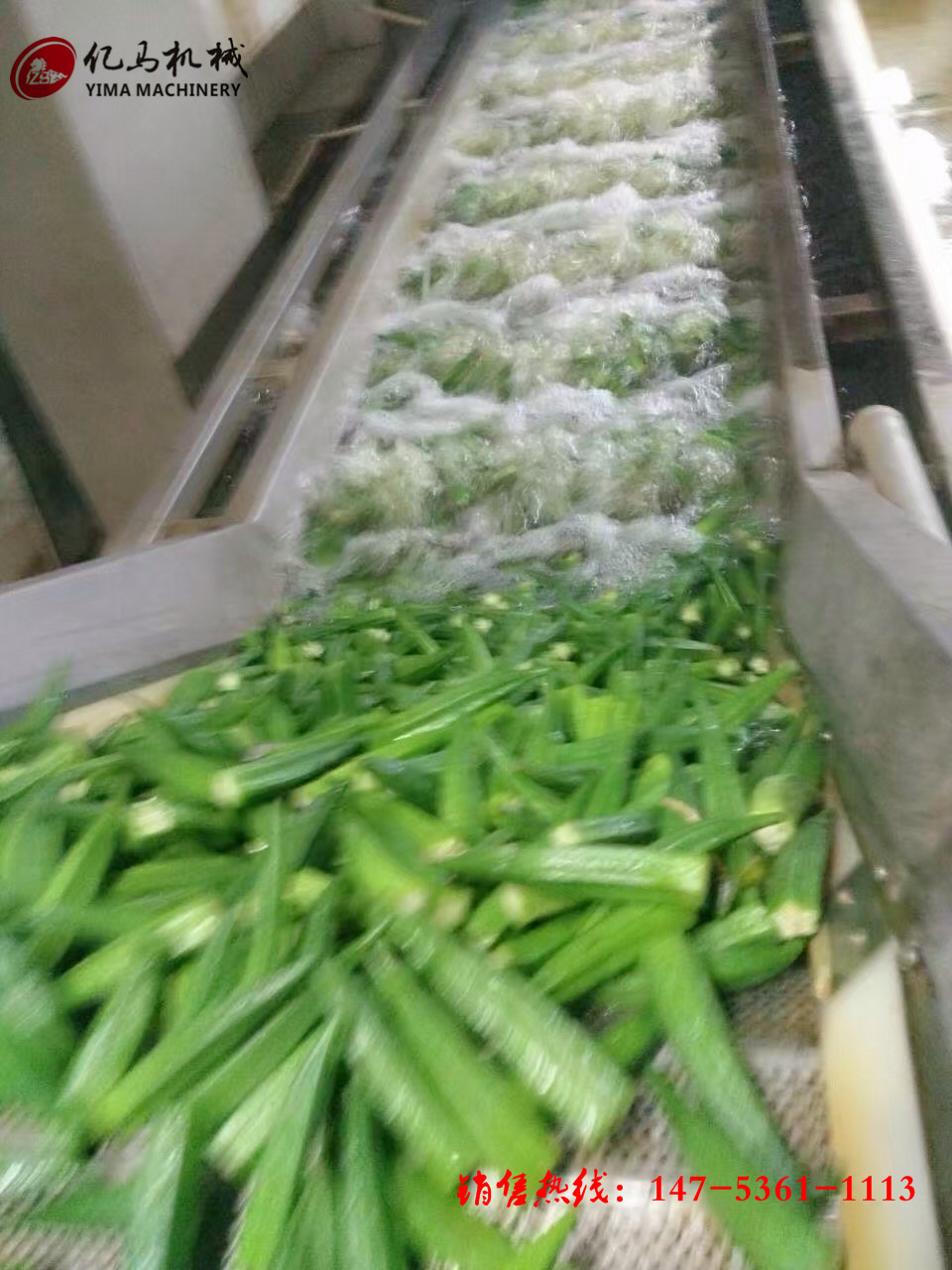 鼓泡氣泡清洗機 醬菜脫鹽清洗機 商用洗菜機全自動果蔬清洗機