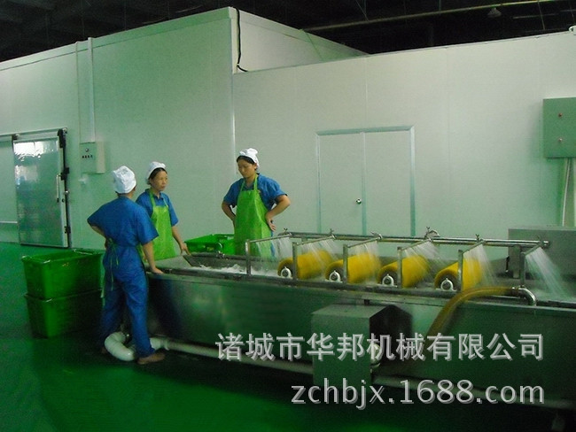 紫蘇葉清洗加工設(shè)備2