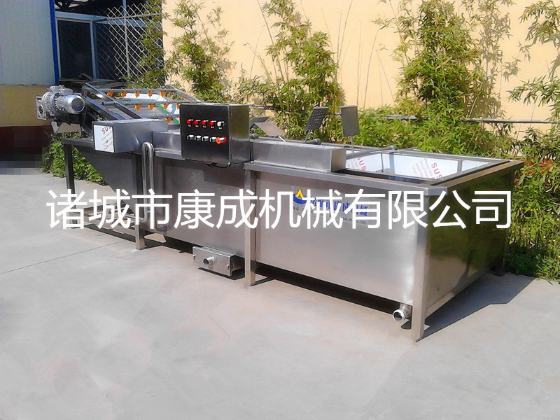 商用小型氣泡洗菜機(jī)專業(yè)仿手工全自動果蔬蔬菜清洗機(jī)廠家直銷