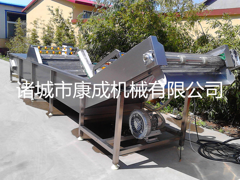 商用小型氣泡洗菜機(jī)專業(yè)仿手工全自動果蔬蔬菜清洗機(jī)廠家直銷