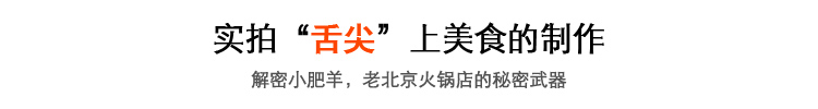 羊肉切片機(jī) 手動家用商用切肉機(jī) 切肥牛片羊肉卷土豆絲刨肉機(jī)