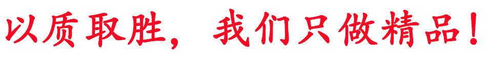 大型商用肉類絞肉機 全自動不銹鋼絞肉機 易清洗 食品級材質(zhì)