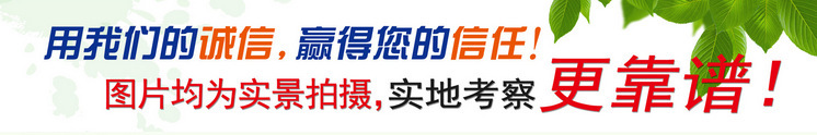 供應(yīng)雙絞龍真空拌餡機 腸類餡料拌餡機 商用自動拌料機 攪拌均勻