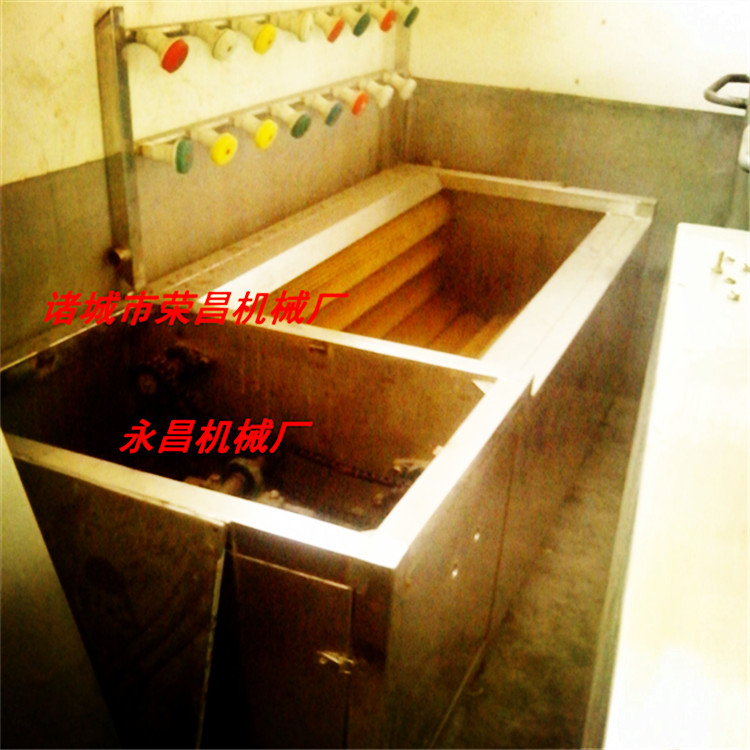 商用蔬菜清洗機(jī) 高壓水流洗菜機(jī)