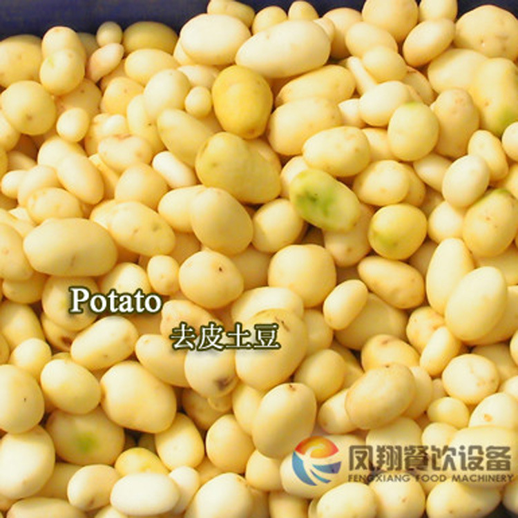 廠家直銷供應(yīng)螺旋清洗脫皮機 土豆紅薯蘿卜去皮清洗機 不銹鋼商用