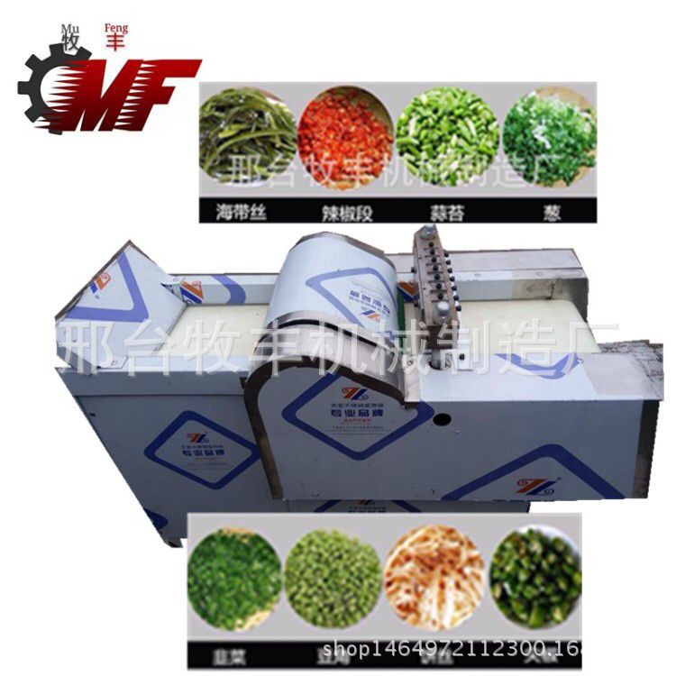 全自動(dòng)臺式食物切碎細(xì)切機(jī)小型切餡切菜機(jī)多功能商用全菜系