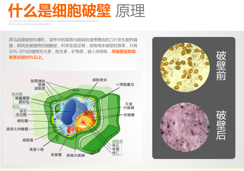 自動(dòng)加熱 多功能家用破壁料理機(jī) 果汁豆?jié){榨汁機(jī) 商用絞肉攪拌機(jī)