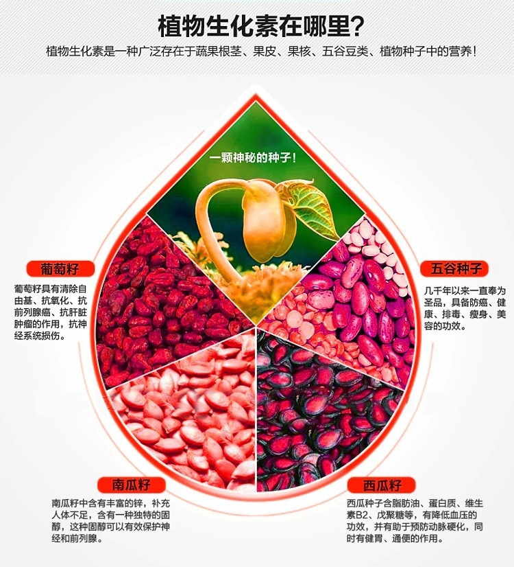 廠家萊果2200W破壁料理機(jī)奶茶店沙冰機(jī)大容量商用無渣現(xiàn)磨豆?jié){機(jī)