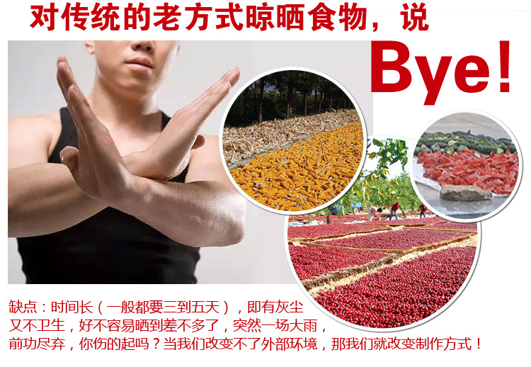家商用不銹鋼干果機(jī)水果蔬菜脫水風(fēng)干藥材寵物食品食物定時烘干機(jī)