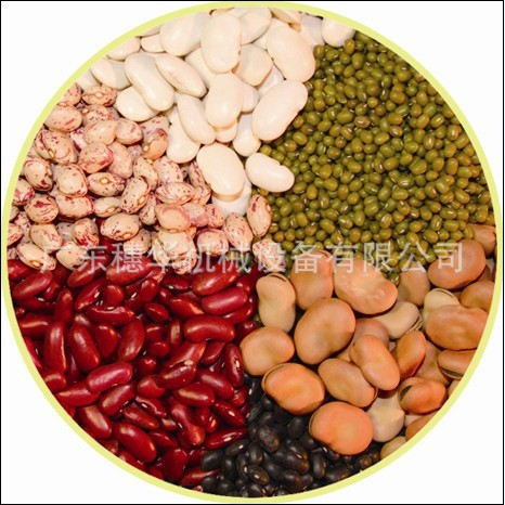 商用豆奶機(jī)大品牌,穗華現(xiàn)磨豆?jié){豆奶機(jī),全自動/多功能豆奶設(shè)備！