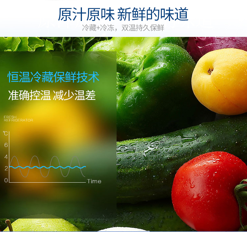 德瑪仕冷藏柜立式四門(mén)冰柜商用 展示柜 KCD1.0L4立式四門(mén)全冷凍