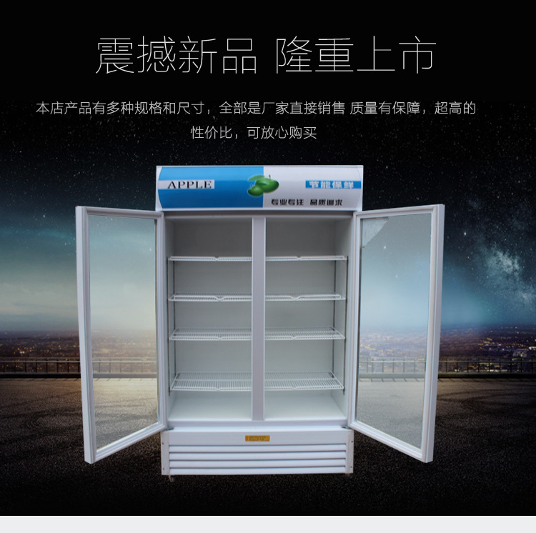 商用單門(mén)雙門(mén)三門(mén)飲料啤酒柜冷藏保鮮柜展示柜立式冰柜