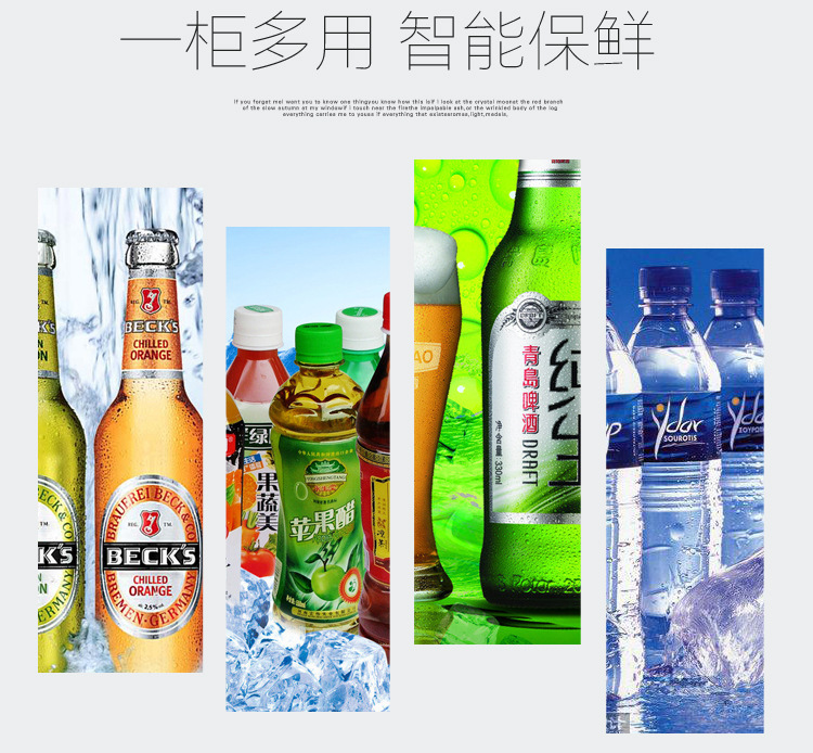 商用單門(mén)雙門(mén)三門(mén)飲料啤酒柜冷藏保鮮柜展示柜立式冰柜