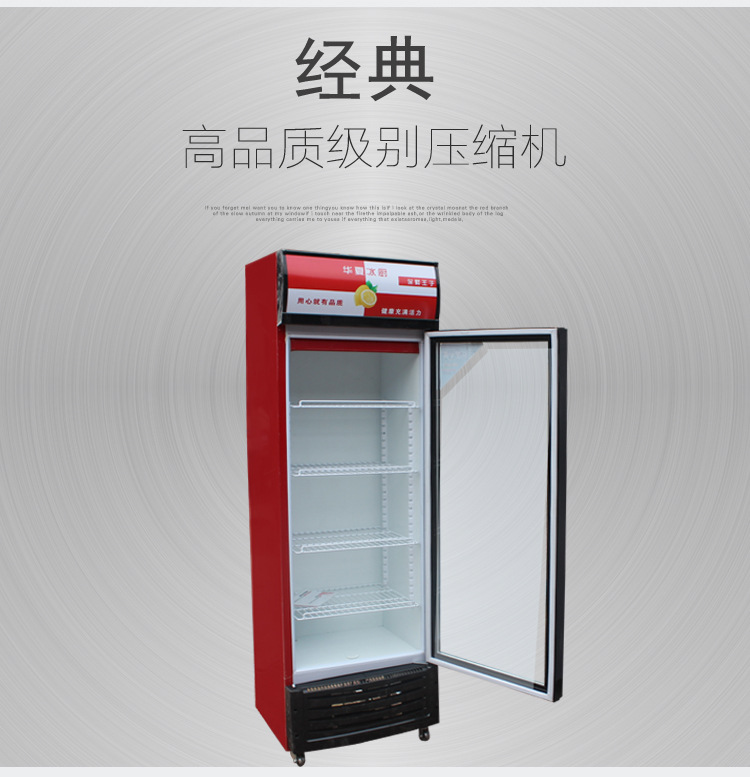 商用單門(mén)雙門(mén)三門(mén)飲料啤酒柜冷藏保鮮柜展示柜立式冰柜
