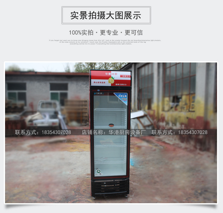 商用單門(mén)雙門(mén)三門(mén)飲料啤酒柜冷藏保鮮柜展示柜立式冰柜