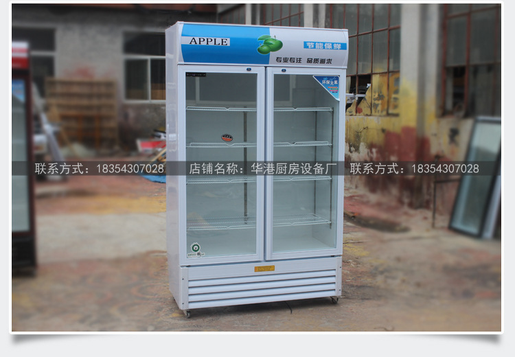 商用單門(mén)雙門(mén)三門(mén)飲料啤酒柜冷藏保鮮柜展示柜立式冰柜