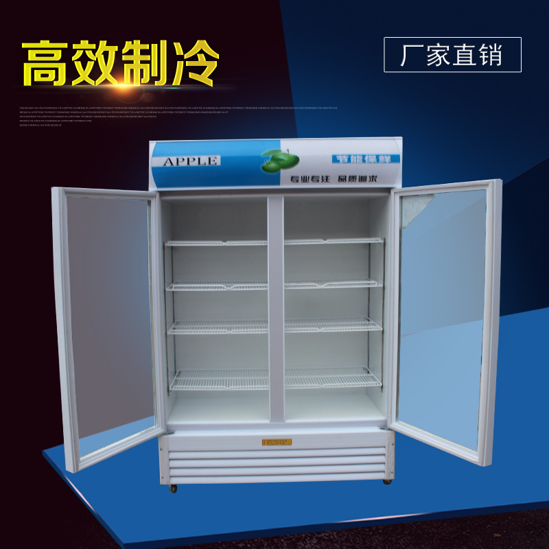 商用單門(mén)雙門(mén)三門(mén)飲料啤酒柜冷藏保鮮柜展示柜立式冰柜