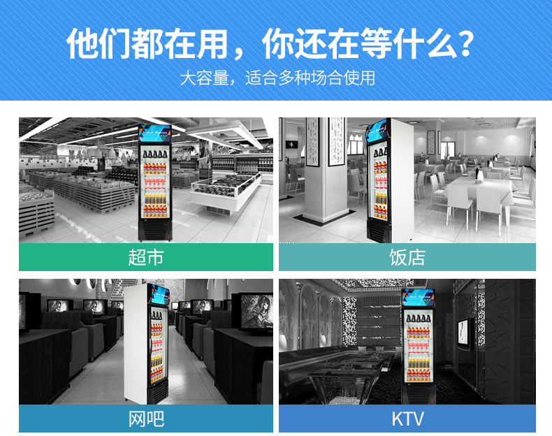德瑪仕商用展示柜冷藏 飲料展示柜 立式冰柜 冷凍立式雙門-680L