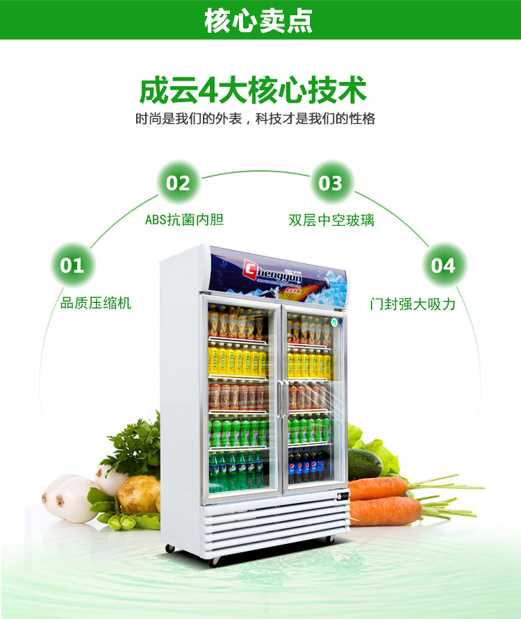 成云廠家直銷(xiāo)雙門(mén)立式飲料展示柜啤酒陳列冰柜 商用冷柜