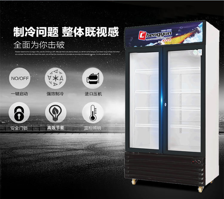 成云廠家直銷(xiāo)雙門(mén)立式飲料展示柜啤酒陳列冰柜 商用冷柜