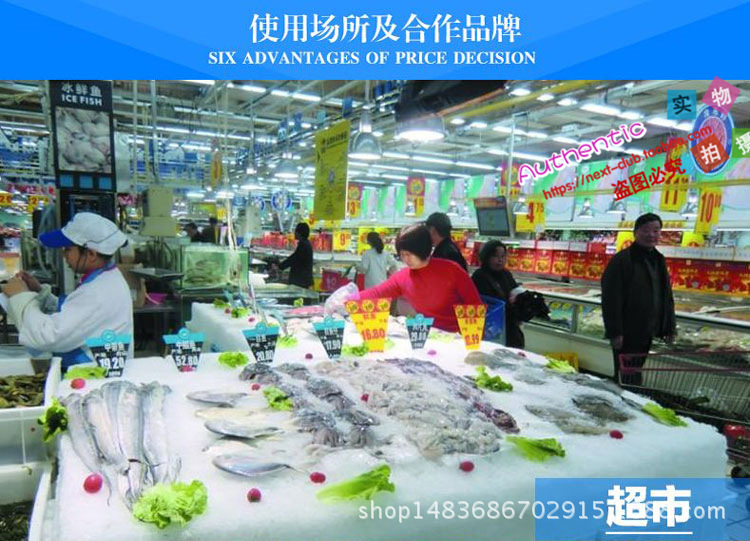 日產(chǎn)2.5噸大型制冰機(jī) 商用冷凍冰磚機(jī)制冰各種規(guī)格定做片冰機(jī)
