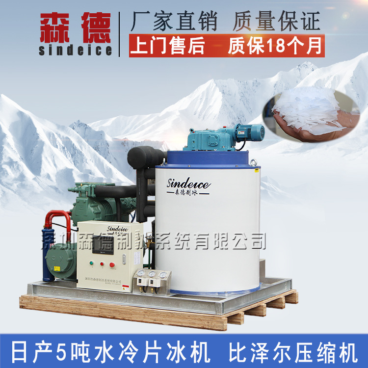 日產(chǎn)5噸工業(yè)商用片冰制冰機(jī) 大型超市生鮮市場(chǎng)冰片展示制冰機(jī)