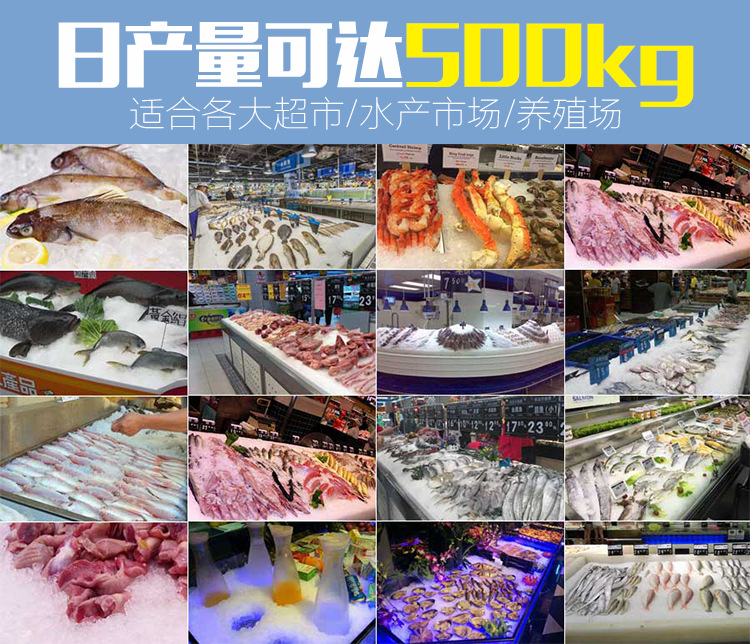 500公斤制冰機(jī)小型超市片冰機(jī)商用鱗片制冰機(jī)佛山廠家批發(fā)
