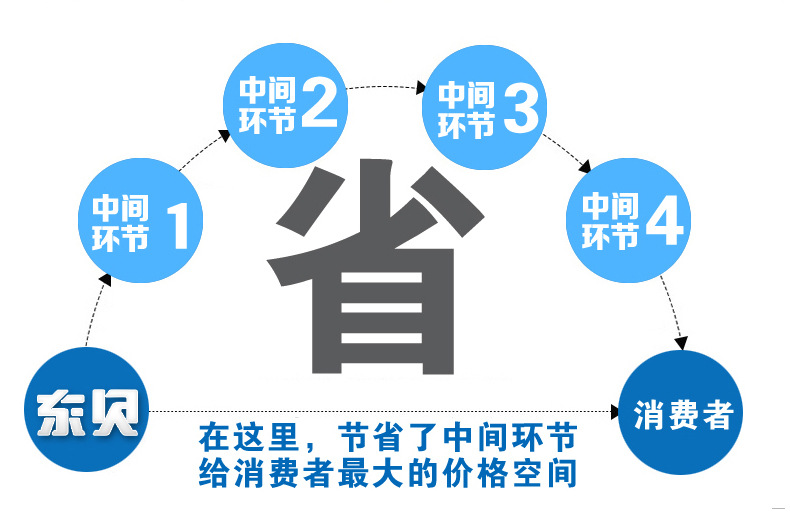 供應東貝ZX40A冰棍機 商用水果雪糕機意大利卡通冰棒機創業設備