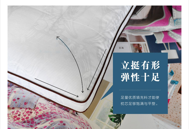 決明子枕芯 單人兩用全棉枕頭芯 立體蕎麥酒店枕芯 床上用品批發(fā)