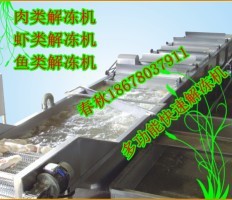 雞鴨魚肉解凍機(jī)|全自動(dòng)恒溫變頻解凍機(jī)|凍品解凍池|快速環(huán)保解凍