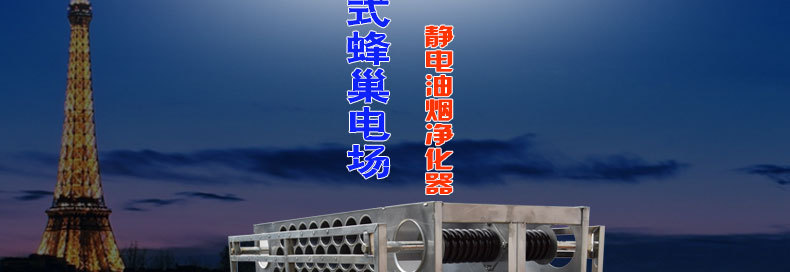 1123大促　148孔蜂窩電場(chǎng) 148針?lè)涓C電場(chǎng) 工業(yè)油煙凈化器蜂巢電場(chǎng)